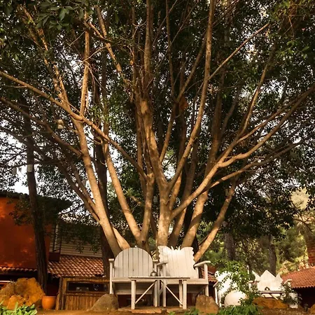 Bay - Adults Only 5*