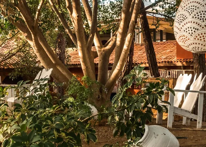 Bay - Adults Only 5* Marmaris