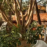 Bay - Adults Only 5* Marmaris